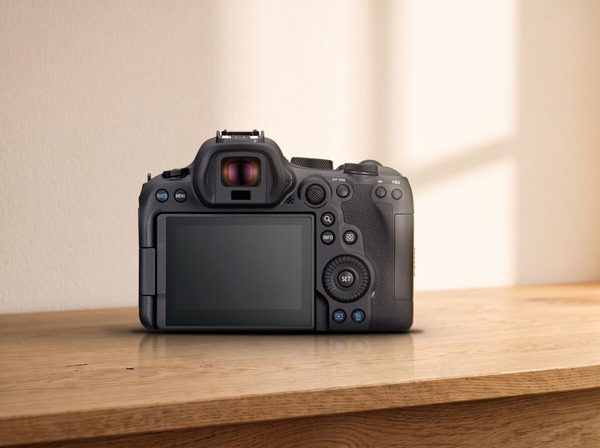 Canon EOS R6 Mark II met de RF 28-70mm F2.8 IS STM, de kit zoals die de deur uit gaat — 2
